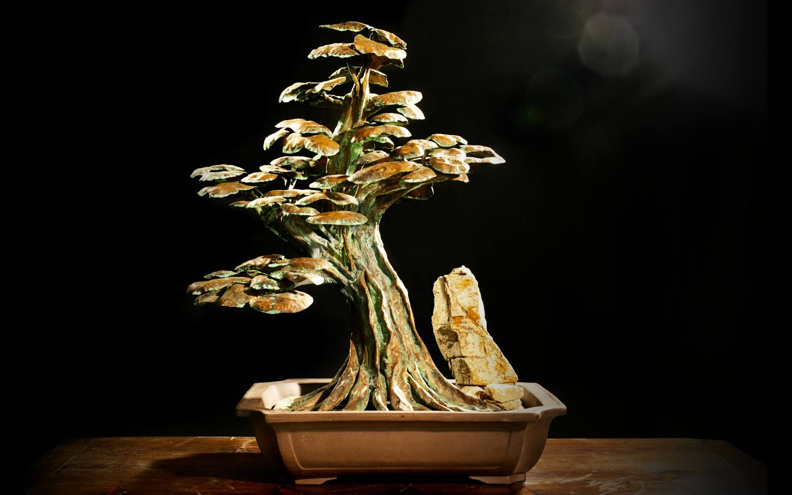 bonsai al estilo venusiano